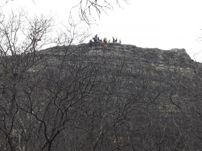 Прикрепленное изображение: скал.jpg